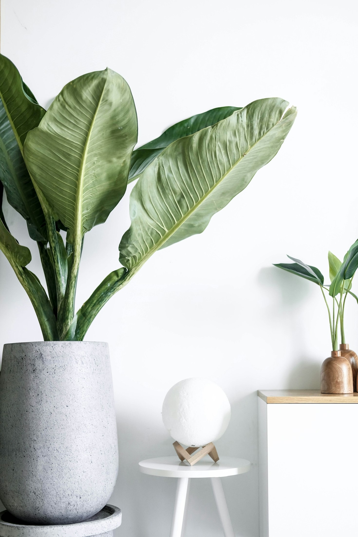 Building Confidence Through Holistic Self-Care